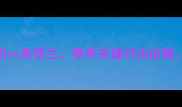 图片 英超焦点战西布朗vs桑德兰：赛季关键对决前瞻，战术与阵容深度