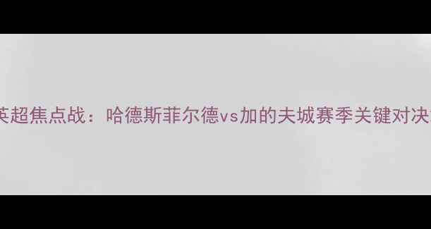 图片 英超焦点战：哈德斯菲尔德vs加的夫城赛季关键对决2