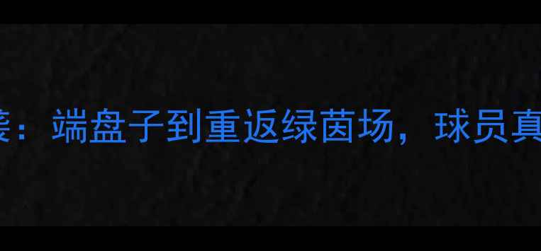 图片 英超球员失业后逆袭：端盘子到重返绿茵场，球员真实生活与职业态度2