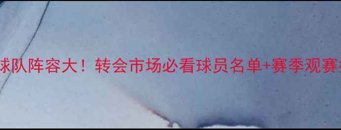 图片 英超球队阵容大！转会市场必看球员名单+赛季观赛指南1