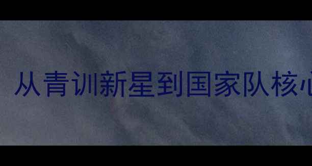 图片 荷兰6号球员：从青训新星到国家队核心的蜕变之路2