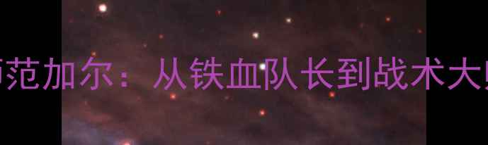 图片 荷兰中场大师范加尔：从铁血队长到战术大师的传奇蜕变