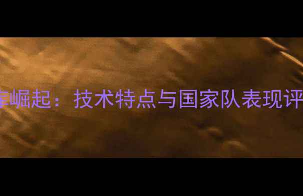 图片 荷兰新星科克库崛起：技术特点与国家队表现评估（全追踪）1