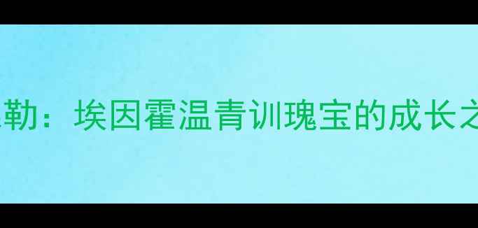 图片 荷兰足球新星桑德勒：埃因霍温青训瑰宝的成长之路与国家队表现2