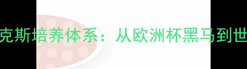 图片 荷兰足球青训典范！阿贾克斯培养体系：从欧洲杯黑马到世界豪门为何能持续崛起？