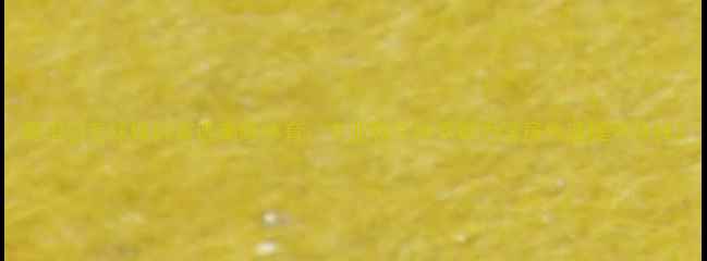 图片 莆田羽毛球培训首选泰辉体育：专业教学体系助力学员快速提升球技2