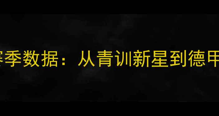 图片 莱比锡红牛44号球员赛季数据：从青训新星到德甲关键战场的蜕变之路1