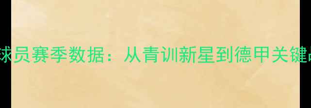 图片 莱比锡红牛44号球员赛季数据：从青训新星到德甲关键战场的蜕变之路2