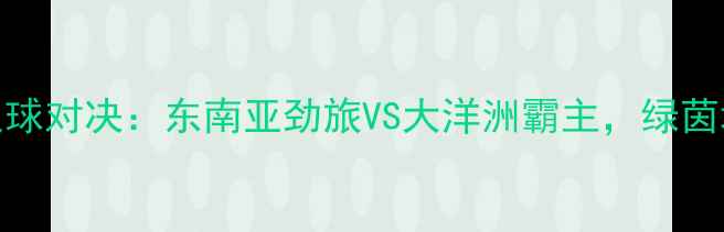 图片 菲律宾vs澳洲足球对决：东南亚劲旅VS大洋洲霸主，绿茵场上的巅峰碰撞