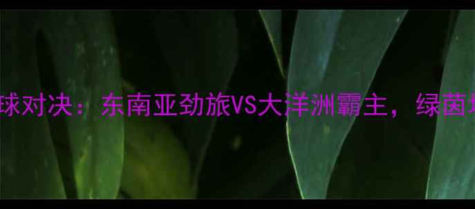图片 菲律宾vs澳洲足球对决：东南亚劲旅VS大洋洲霸主，绿茵场上的巅峰碰撞1
