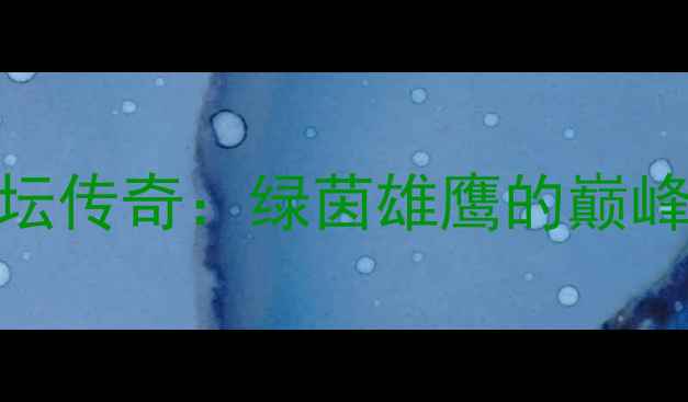 图片 萨斯菲尔德杯足坛传奇：绿茵雄鹰的巅峰对决与历史启示