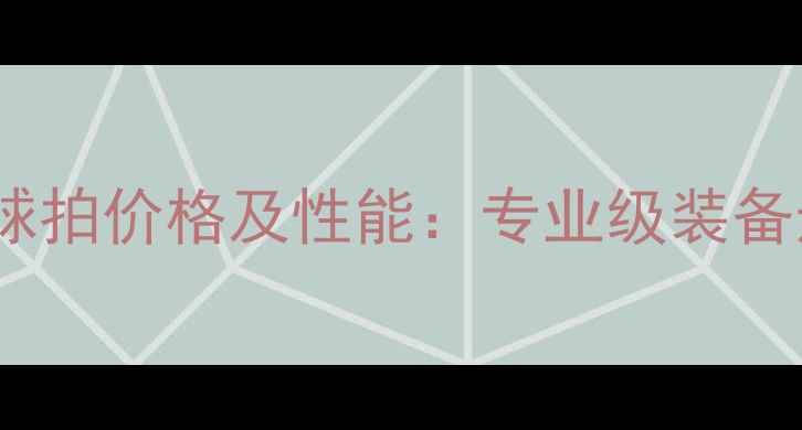 图片 蝴蝶乒乓球拍价格及性能：专业级装备选购指南2