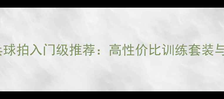 图片 蝴蝶牌乒乓球拍入门级推荐：高性价比训练套装与选购指南1