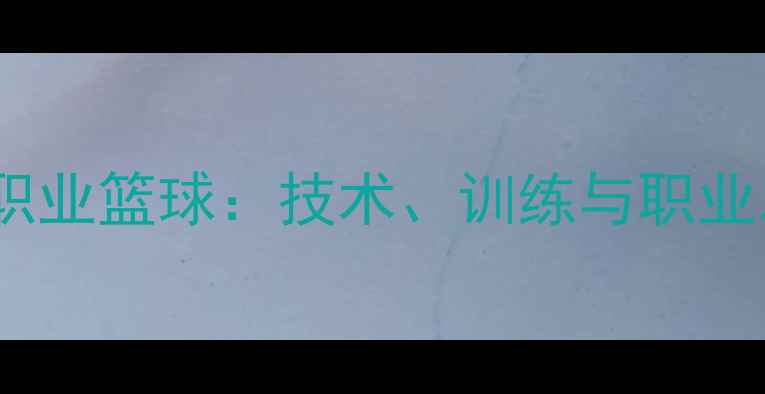 图片 街球VS职业篮球：技术、训练与职业发展全1