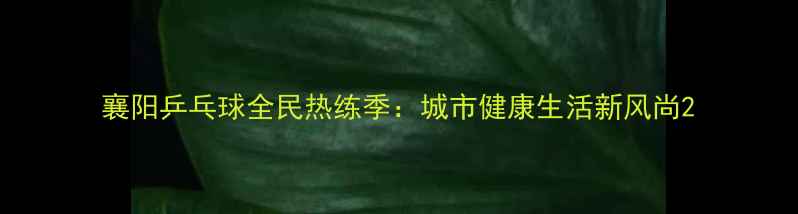 图片 襄阳乒乓球全民热练季：城市健康生活新风尚2