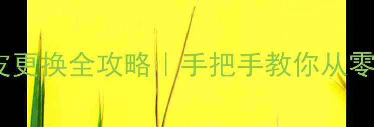 图片 西单乒乓球胶皮更换全攻略｜手把手教你从零开始修补升级1