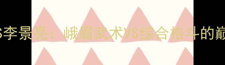 图片 西热一笑VS李景亮：峨眉武术VS综合格斗的巅峰对决全2