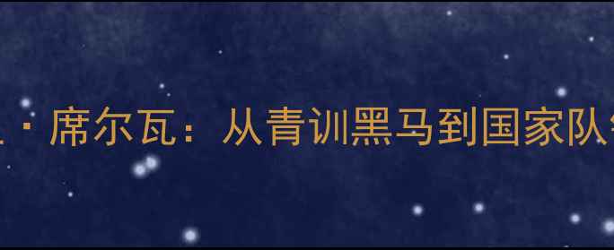 图片 西班牙19号球员大卫·席尔瓦：从青训黑马到国家队铁血核心的20年传奇