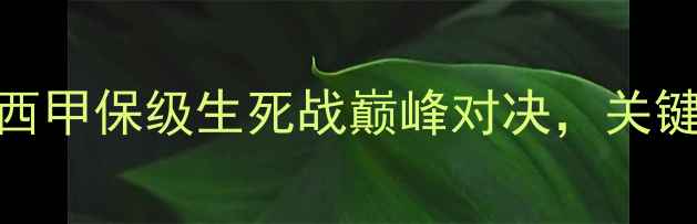 图片 西班牙人vs拉科鲁尼亚：西甲保级生死战巅峰对决，关键战役如何影响赛季走向？