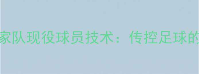 图片 西班牙国家队现役球员技术：传控足球的巅峰之作