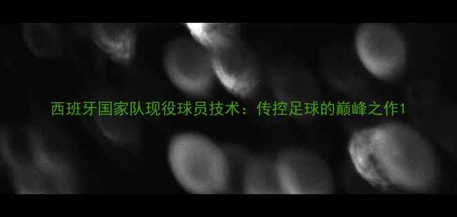 图片 西班牙国家队现役球员技术：传控足球的巅峰之作1
