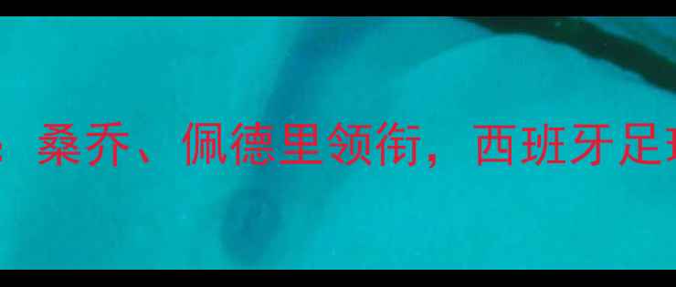图片 西班牙球员英超数据大：桑乔、佩德里领衔，西班牙足球军团如何征服英超？2