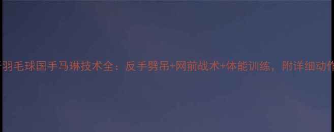 图片 西班牙羽毛球国手马琳技术全：反手劈吊+网前战术+体能训练，附详细动作图解1