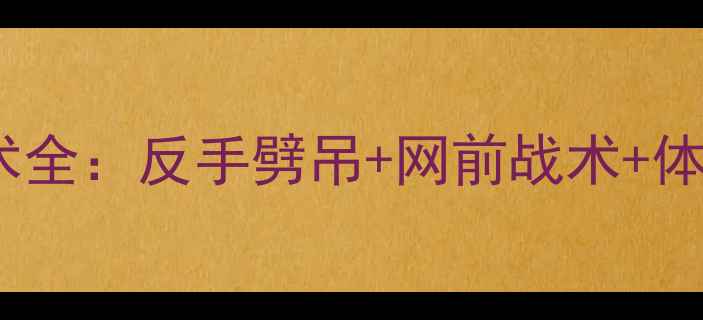 图片 西班牙羽毛球国手马琳技术全：反手劈吊+网前战术+体能训练，附详细动作图解2