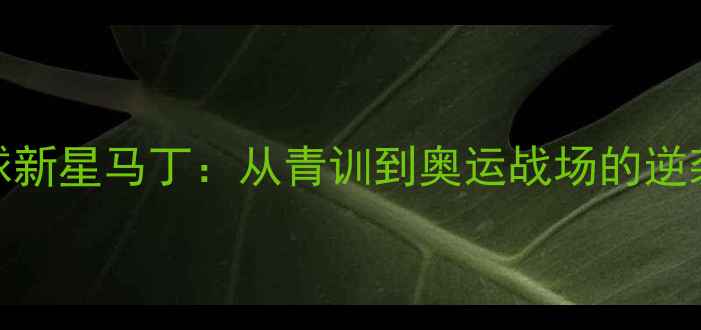 图片 西班牙羽毛球新星马丁：从青训到奥运战场的逆袭之路及技术