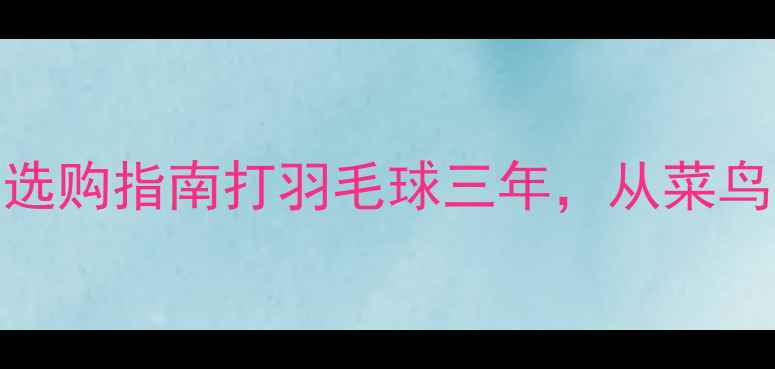 图片 训练专用羽毛球推荐｜最新测评+选购指南打羽毛球三年，从菜鸟到省队队员的私藏攻略都在这！2