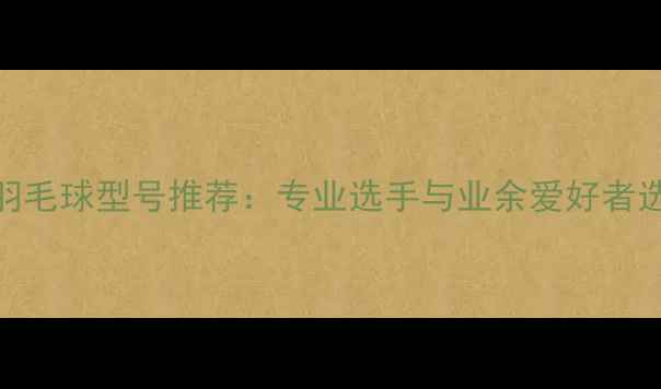 图片 训练用羽毛球型号推荐：专业选手与业余爱好者选购指南