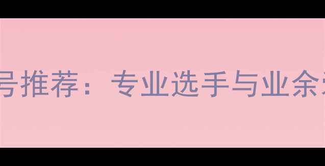 图片 训练用羽毛球型号推荐：专业选手与业余爱好者选购指南1