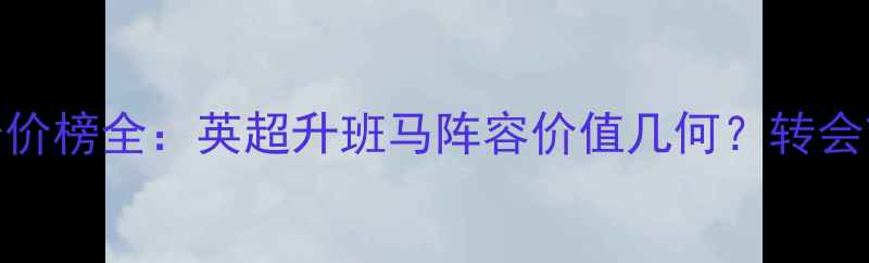 图片 诺维奇球员身价榜全：英超升班马阵容价值几何？转会市场动态追踪