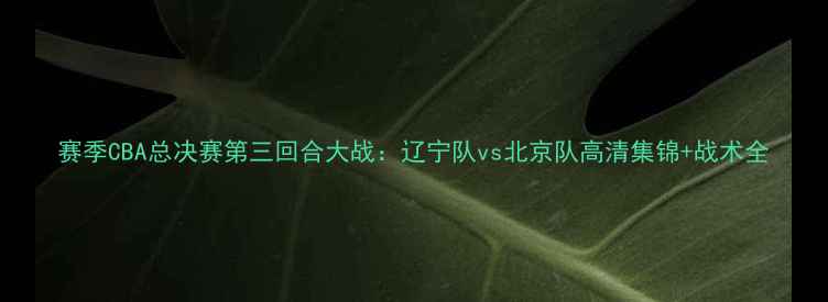图片 赛季CBA总决赛第三回合大战：辽宁队vs北京队高清集锦+战术全