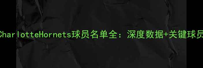 图片 赛季CharlotteHornets球员名单全：深度数据+关键球员分析