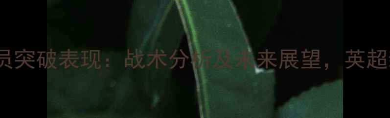 图片 赛季Mellor球员突破表现：战术分析及未来展望，英超新星成长密码1