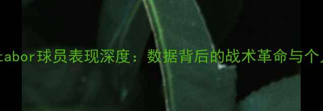 图片 赛季Otabor球员表现深度：数据背后的战术革命与个人成长