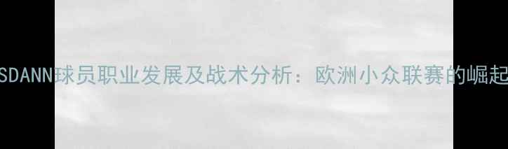 图片 赛季SDANN球员职业发展及战术分析：欧洲小众联赛的崛起之星