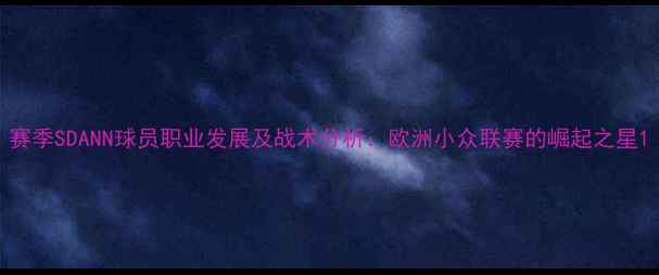 图片 赛季SDANN球员职业发展及战术分析：欧洲小众联赛的崛起之星1