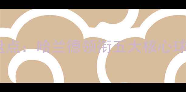 图片 赛季切尔西球星盘点：哈兰德领衔五大核心球员赛季表现深度2