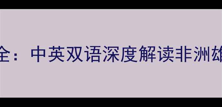 图片 赛季加纳球员表现全：中英双语深度解读非洲雄鹰的欧洲联赛征程