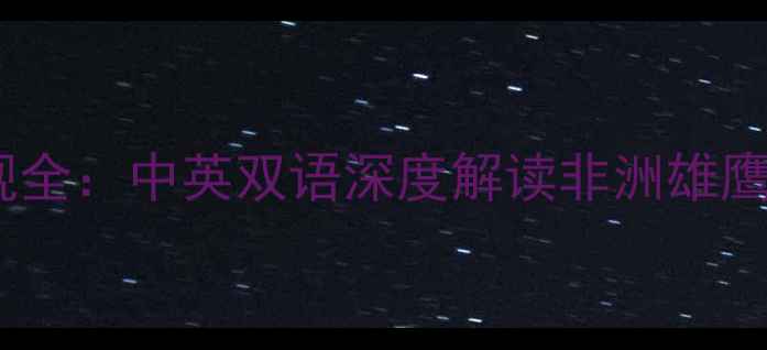 图片 赛季加纳球员表现全：中英双语深度解读非洲雄鹰的欧洲联赛征程1