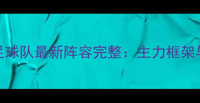 图片 赛季大连人职业足球队最新阵容完整：主力框架与新生代球员盘点