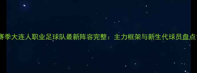 图片 赛季大连人职业足球队最新阵容完整：主力框架与新生代球员盘点1