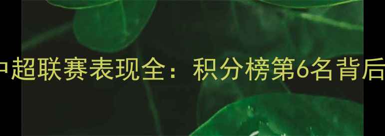 图片 赛季广州恒大中超联赛表现全：积分榜第6名背后的战术与困境1