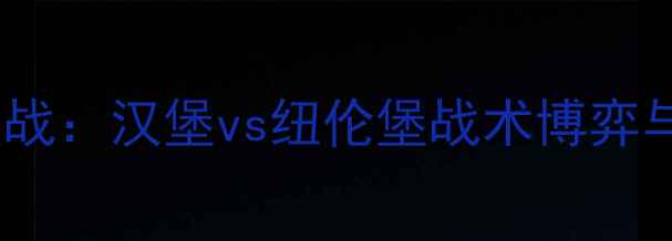 图片 赛季德乙焦点战：汉堡vs纽伦堡战术博弈与历史恩怨全1