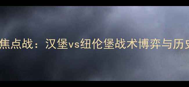 图片 赛季德乙焦点战：汉堡vs纽伦堡战术博弈与历史恩怨全2