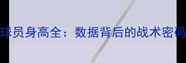 图片 赛季快船队球员身高全：数据背后的战术密码与成长潜力