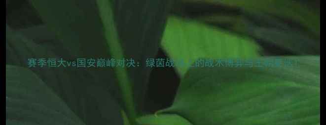 图片 赛季恒大vs国安巅峰对决：绿茵战场上的战术博弈与王朝更迭1