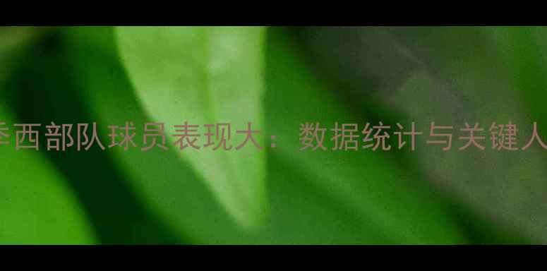 图片 赛季西部队球员表现大：数据统计与关键人物1